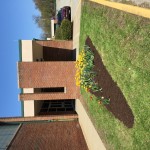lawnhart-landscaping-southhills-pa6
