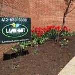 lawnhart-landscaping-southhills-pa5